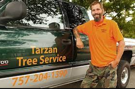 tarzan tree service